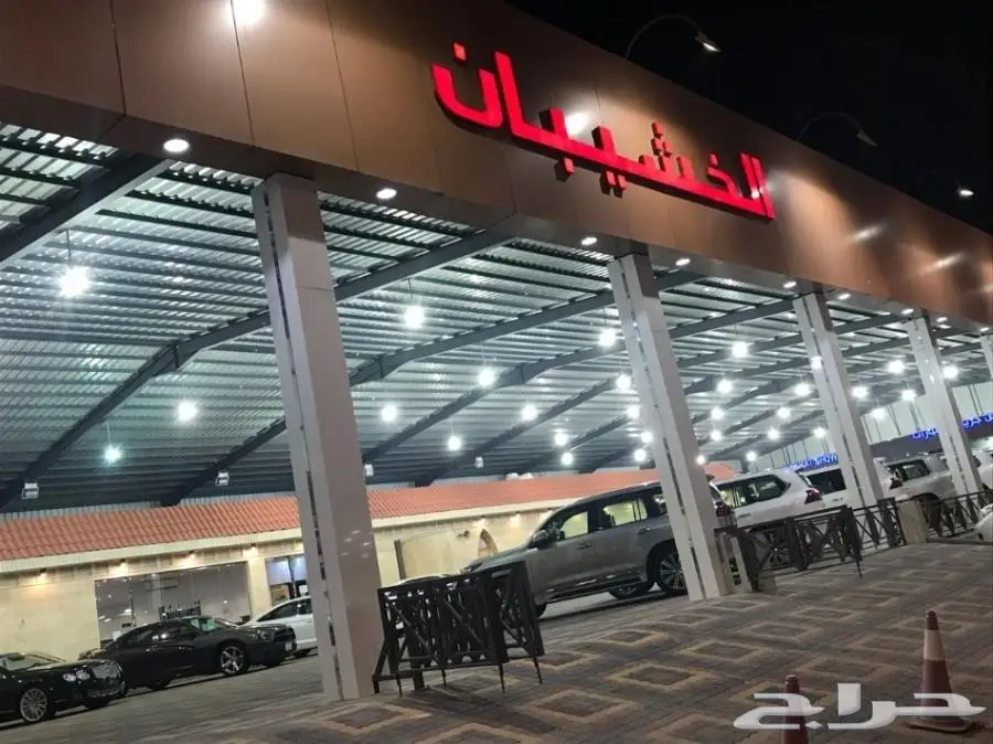 نيسان ربع 2003 سعودي جير عادي (image 13)