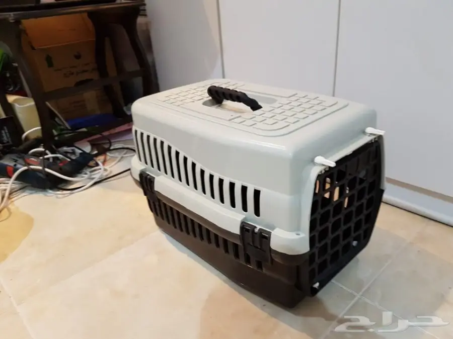 قطه للتبني 6 شهور نظيفه لعوبه بسبب عدم التفرغ (image 2)