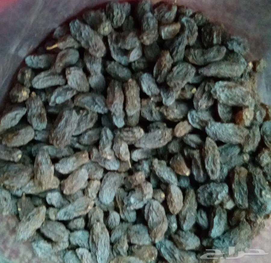 زبيب بلدي سعودي للبيع بسعر مغري للجميع