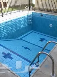 شركة تنظيف وتلميع باركيه ومكافحة حشرات بالريا - أسعار مميزة! (image 10)