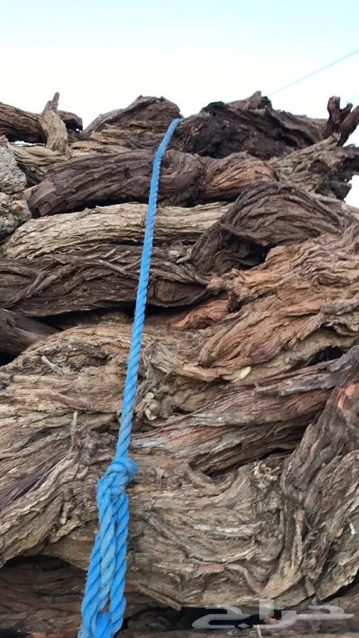 ارطى يابس وجورم ممتاز - توصيل لحايل وضواحيها (image 3)