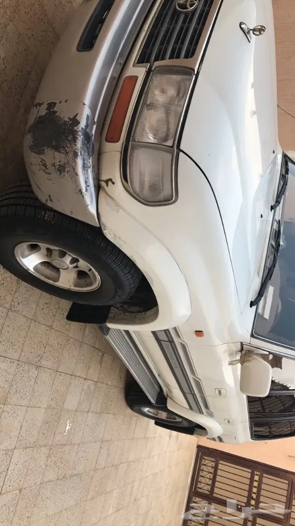 صالون 97  (image 1)