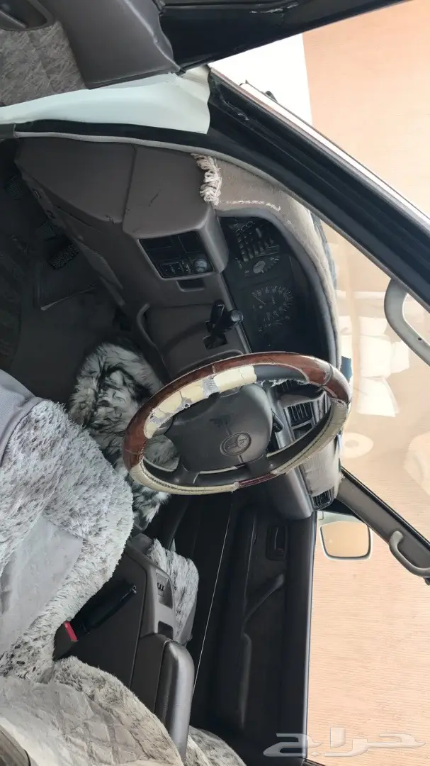 صالون 97  (image 5)