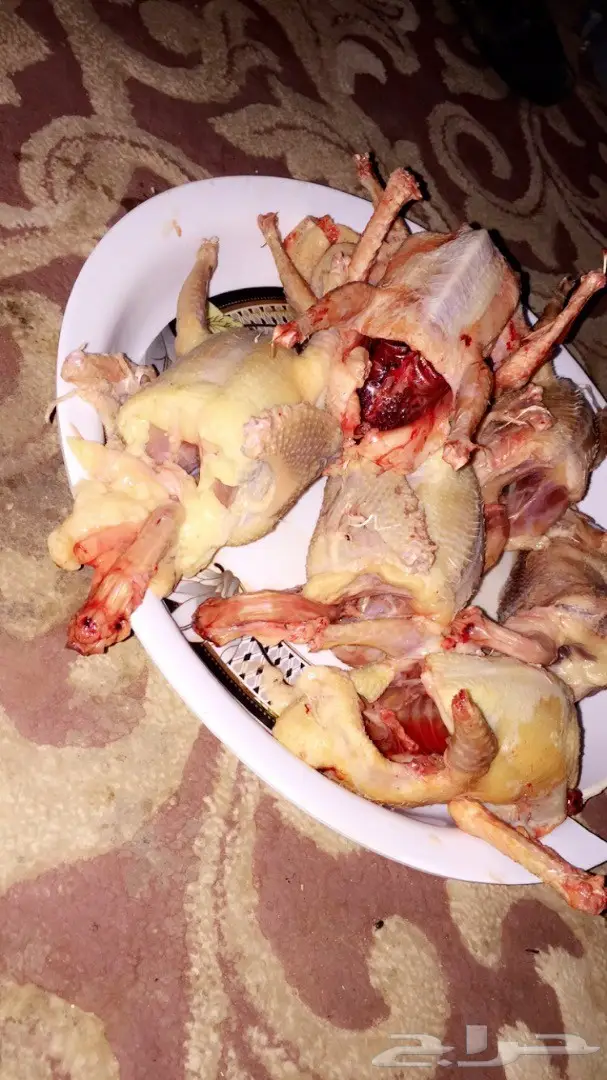 بسابيس لاحم -الخررج