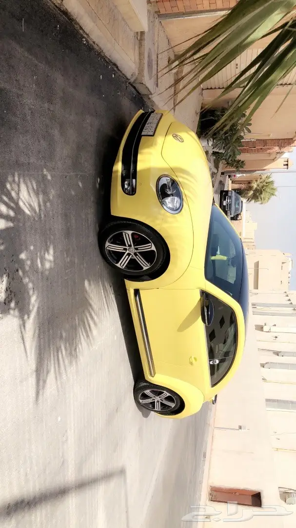 بيتل 2015 - فرصة ذهبية! (image 2)