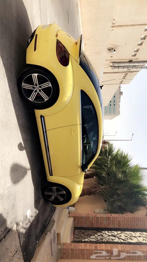 بيتل 2015 - فرصة ذهبية! (image 3)