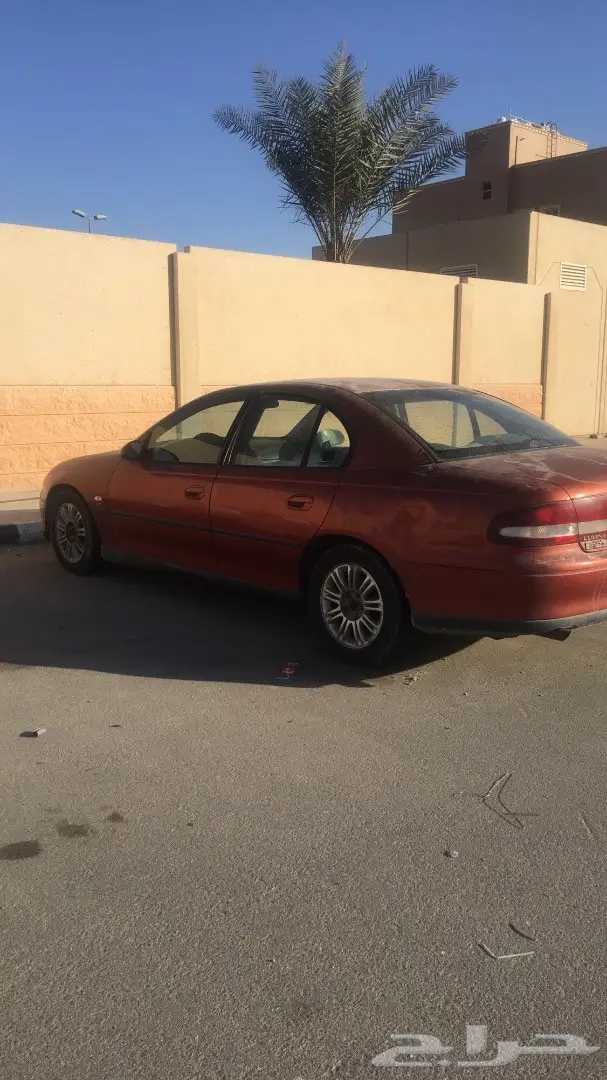 لومينا موديل 2000 الخفجي