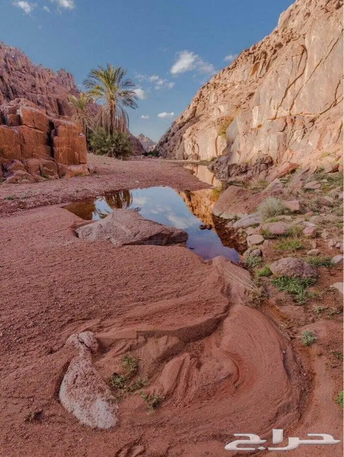 ارض للبيع في بحي الضاحي الغربي 