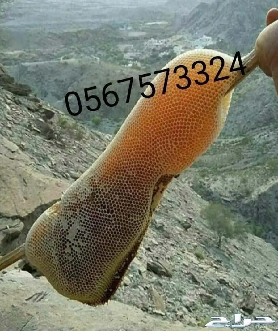 عسل حر جبلي جنوة جديدة اراء العملاء إيجابية 