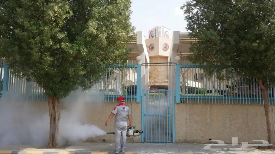 مكافحة حشرات مع الضمان عماله فلبينيه (image 6)