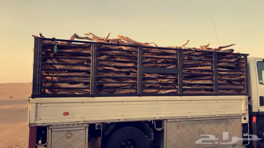 سمر مبروم مشروط (image 3)