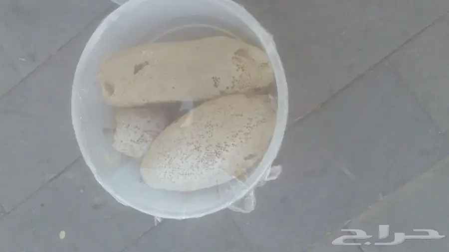 عسل بري (image 1)