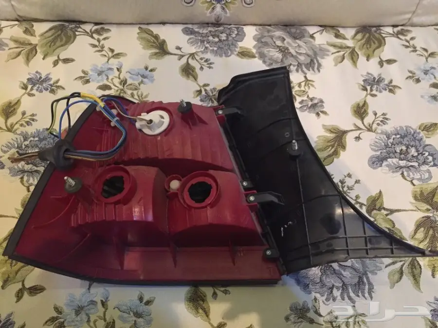 اصطب كابرس اصلي وكاله (image 1)