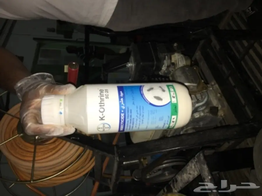 مكافحة حشرات مع الضمان عماله فلبينيه (image 2)