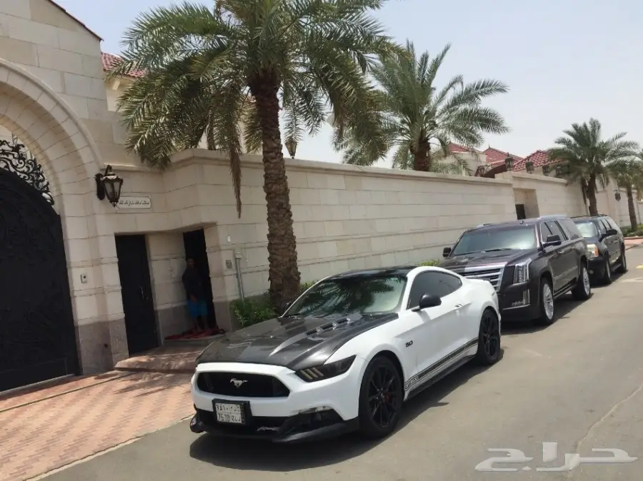 موستنق 5.0 -2015  مصدوم  (image 1)