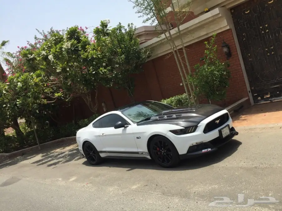 موستنق 5.0 -2015  مصدوم  (image 3)