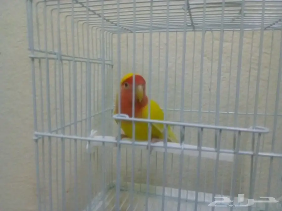 فرصة ذهبية! منزل أحلامك في انتظارك (image 8)