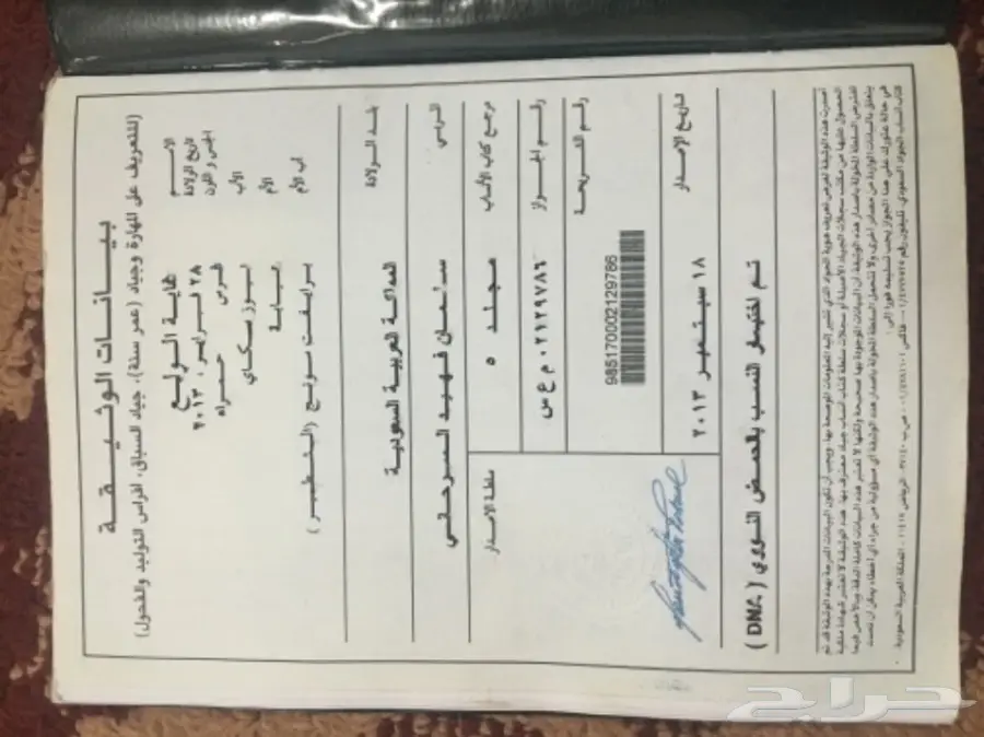 فرس انتاج سباق