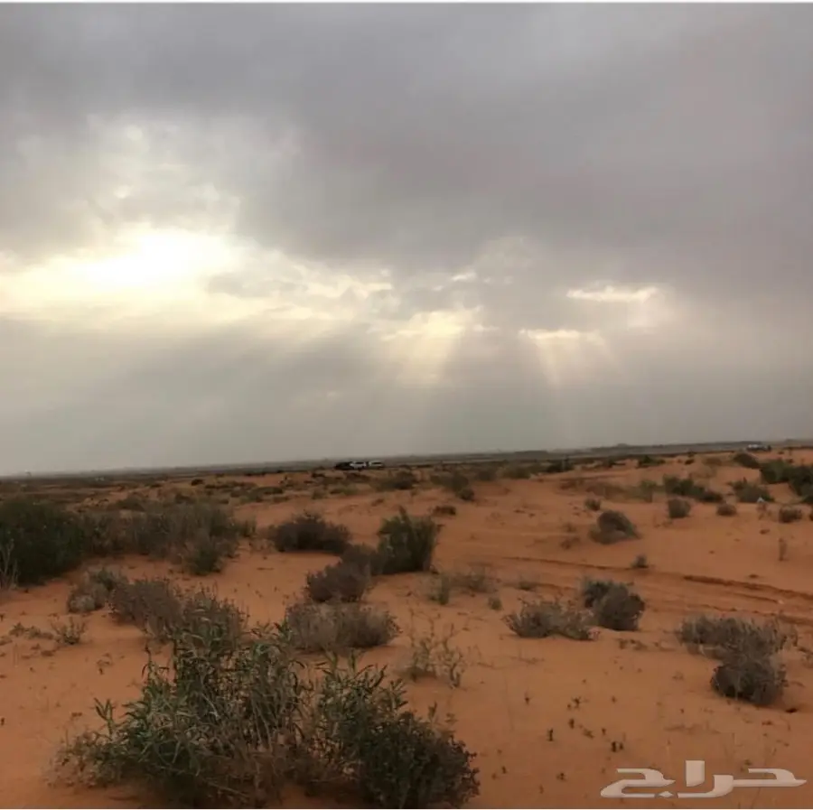 مخيمات للايجار في روضة خريم (image 3)