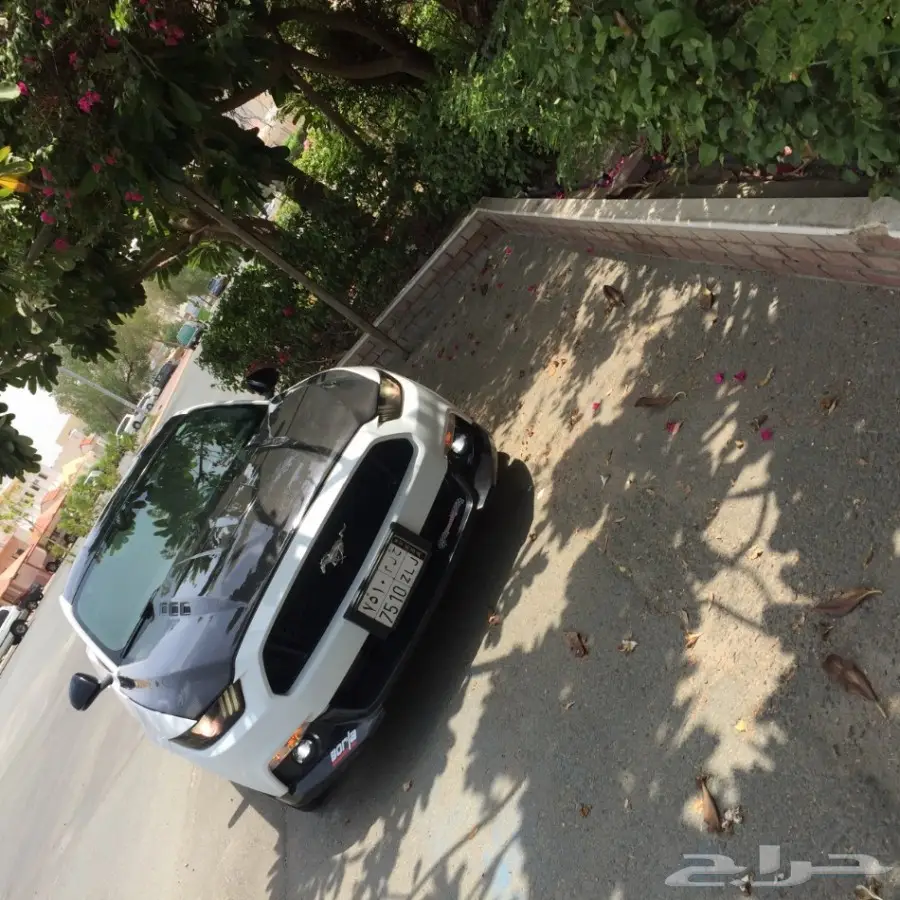 موستنق 5.0 -2015  مصدوم  (image 6)