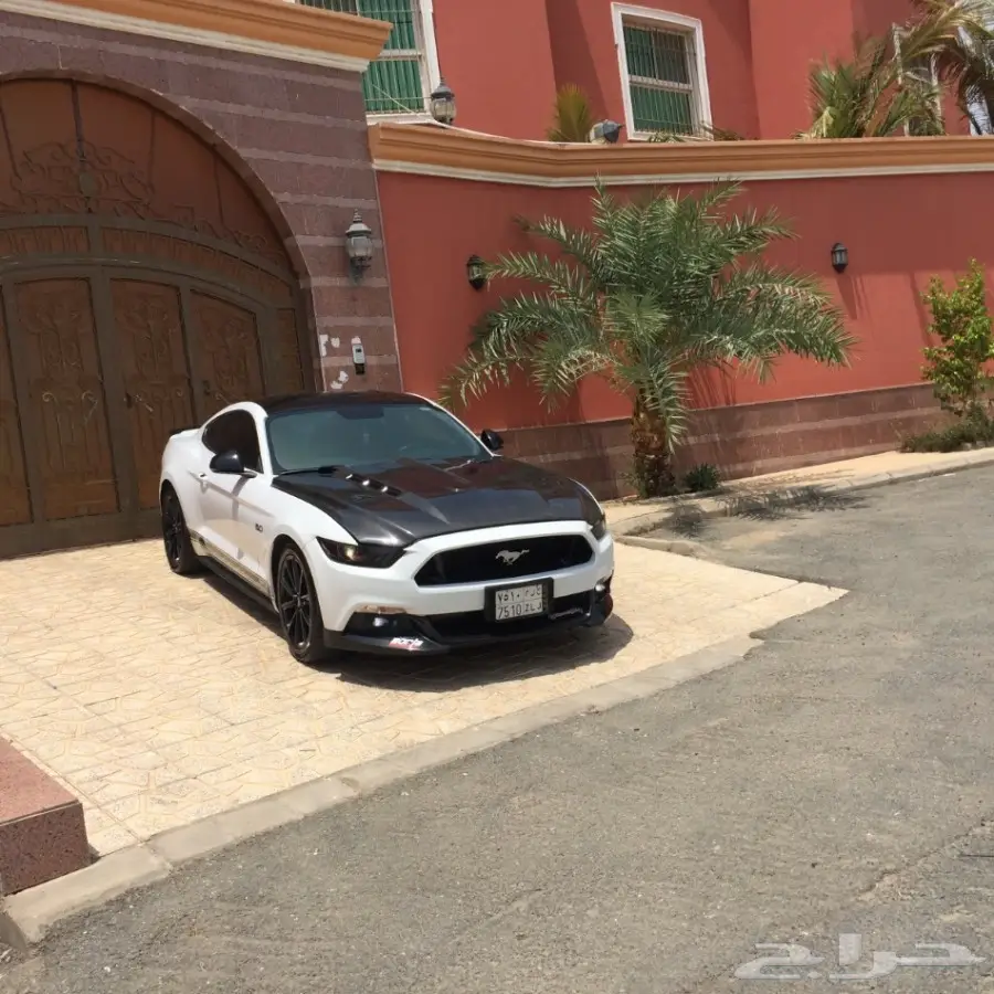 موستنق 5.0 -2015  مصدوم  (image 7)