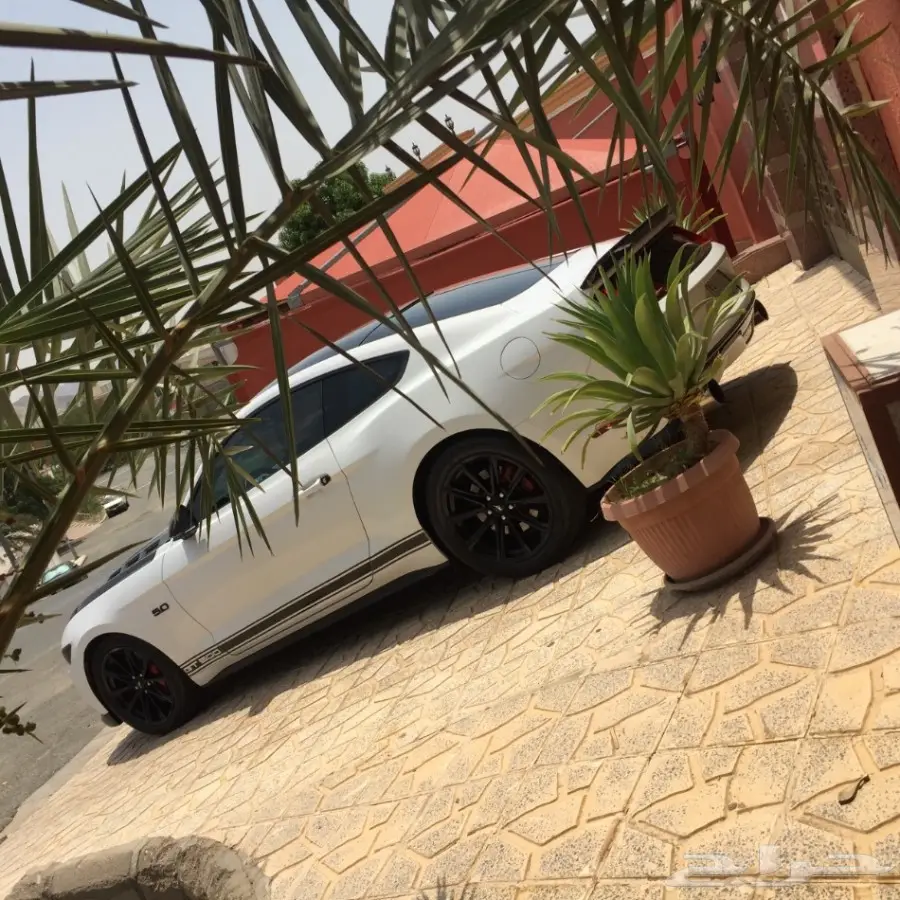 موستنق 5.0 -2015  مصدوم  (image 8)