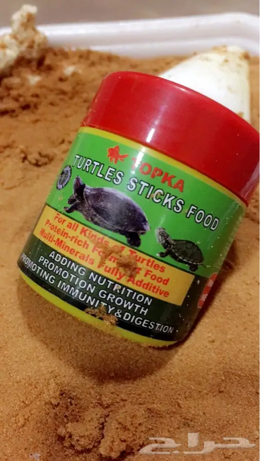 الرياض - سلاحف برمائيه -  جوز (image 2)