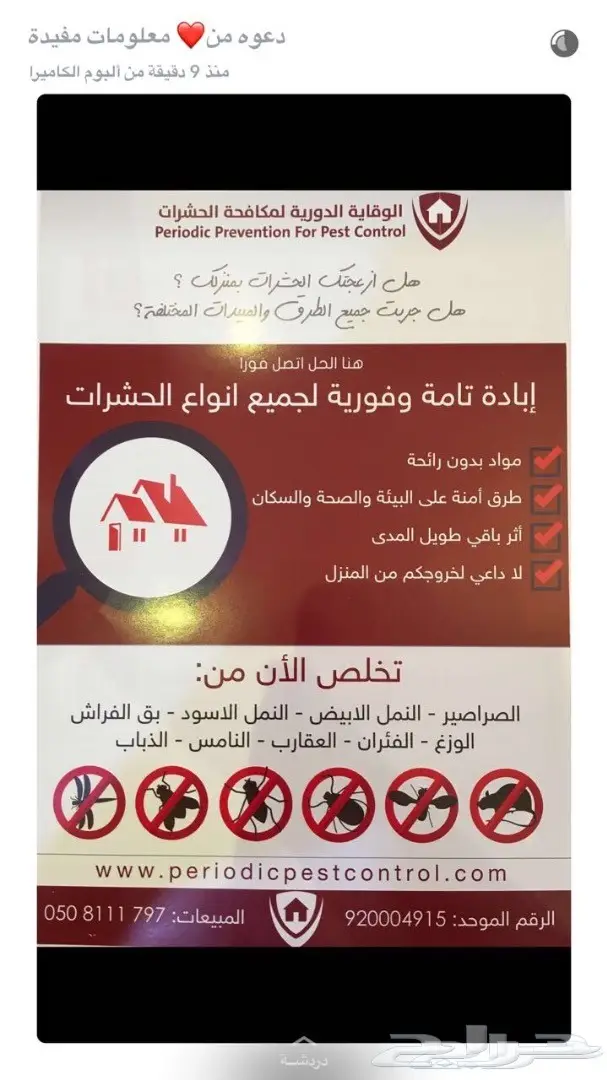 حلول شاملة لمكافحة الحشرات والقوارض (image 1)