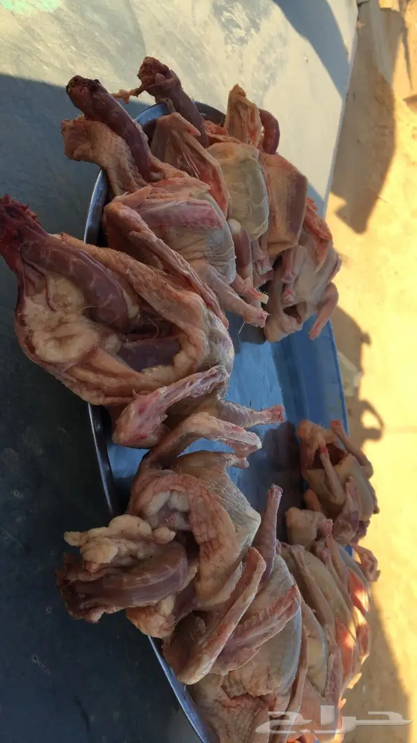 حمام فرنسي لاحم