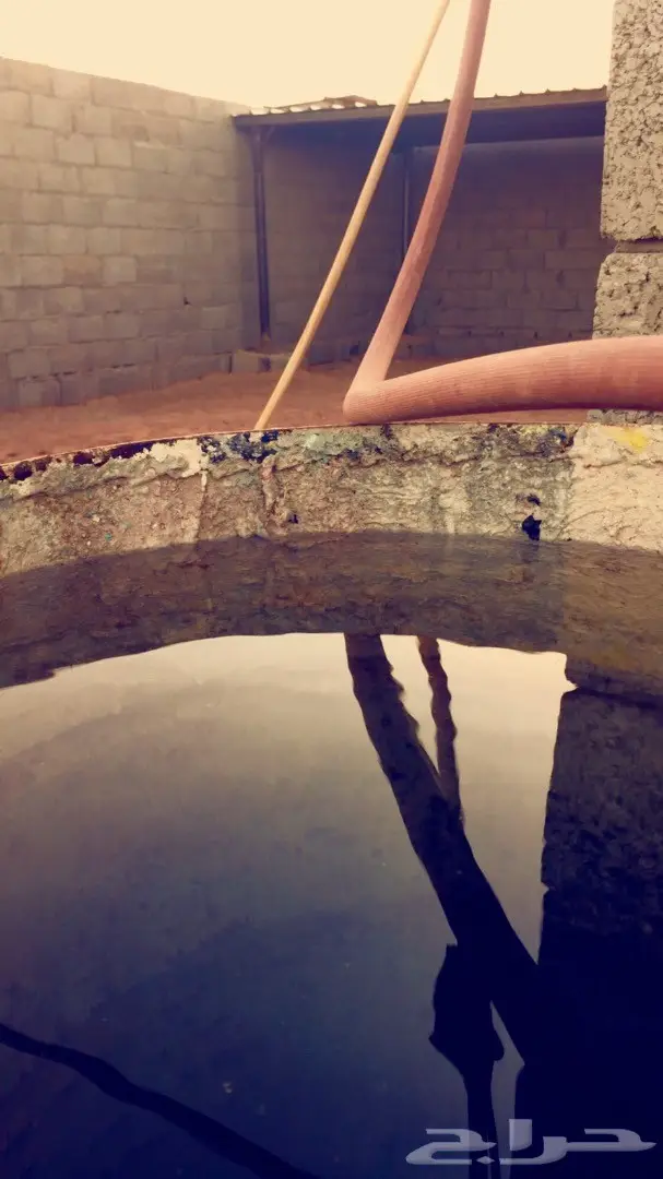 احواش غنم للايجار (image 1)