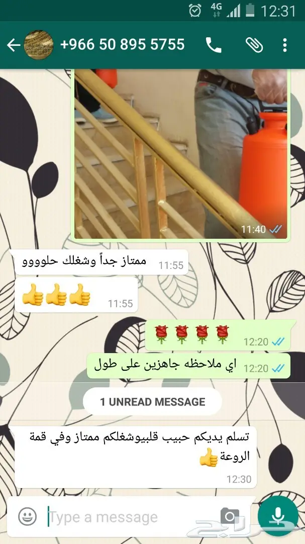 الحل النهائي للقضاء على الحشرات بمنزلك (image 20)