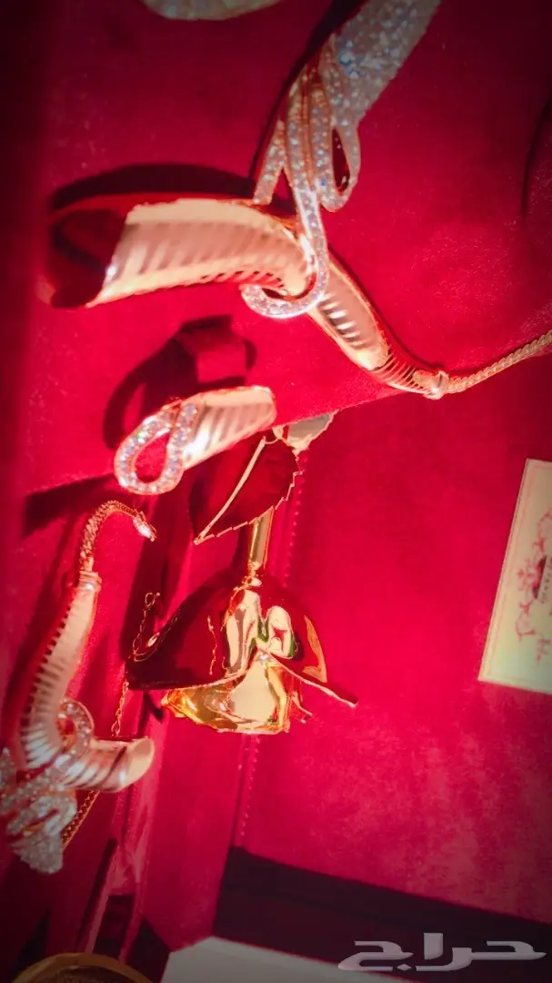 هدية فاخرة 2018 - شاهد الصور (image 14)