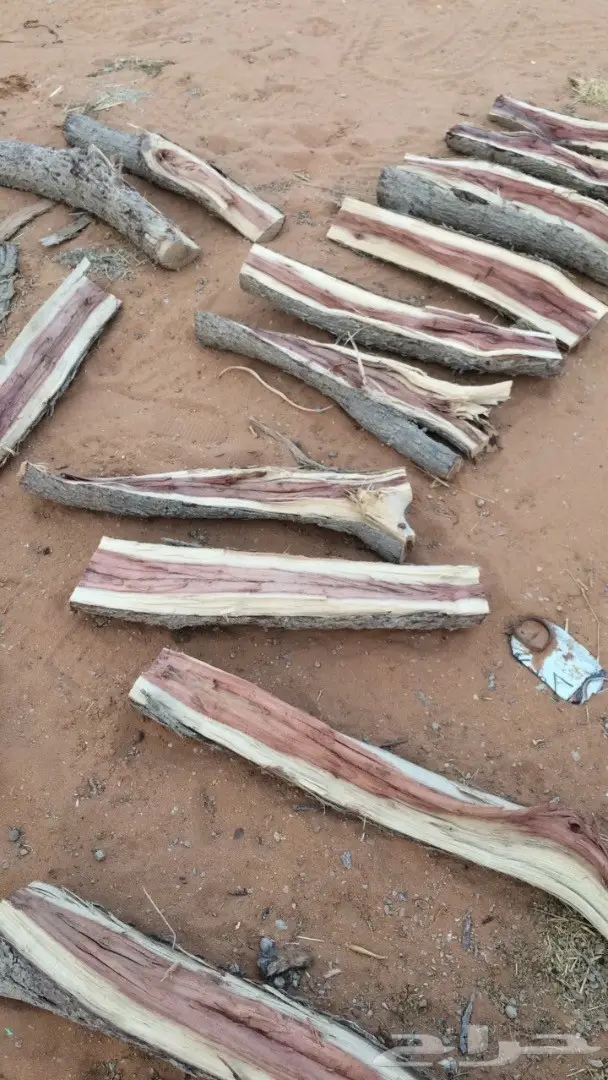 حطب غريب الأطوار - اكتشف قيمته! (image 2)