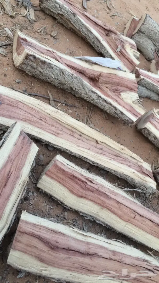 حطب غريب الأطوار - اكتشف قيمته! (image 3)