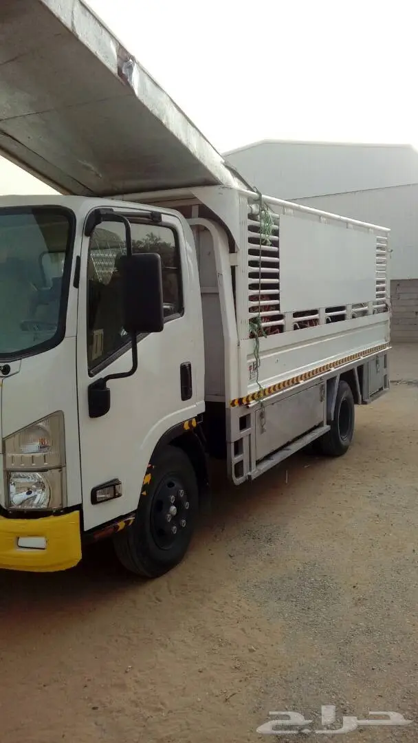 دينا 2015  (image 1)