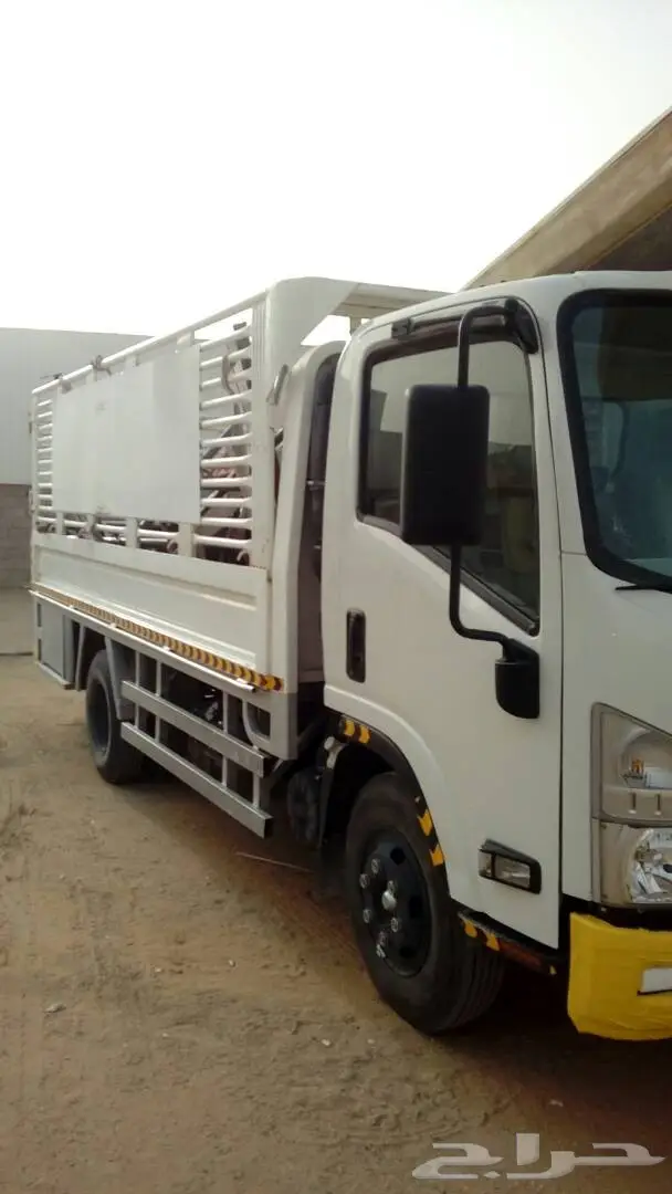 دينا 2015  (image 3)