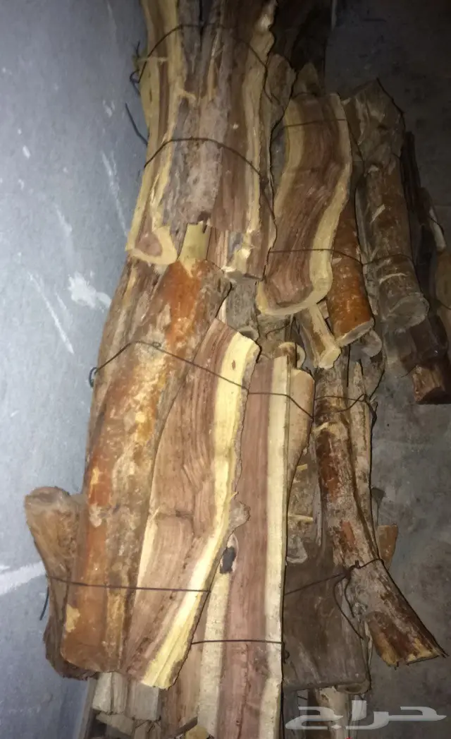 ح ط ب حزم للبيع مستعجل على السوم  (image 1)