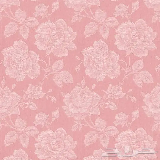 ورق جدران أمريكي وهولندي فاخر - تشكيلة واسعة (image 45)