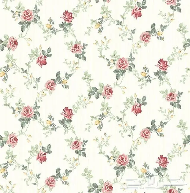 ورق جدران أمريكي وهولندي فاخر - تشكيلة واسعة (image 39)