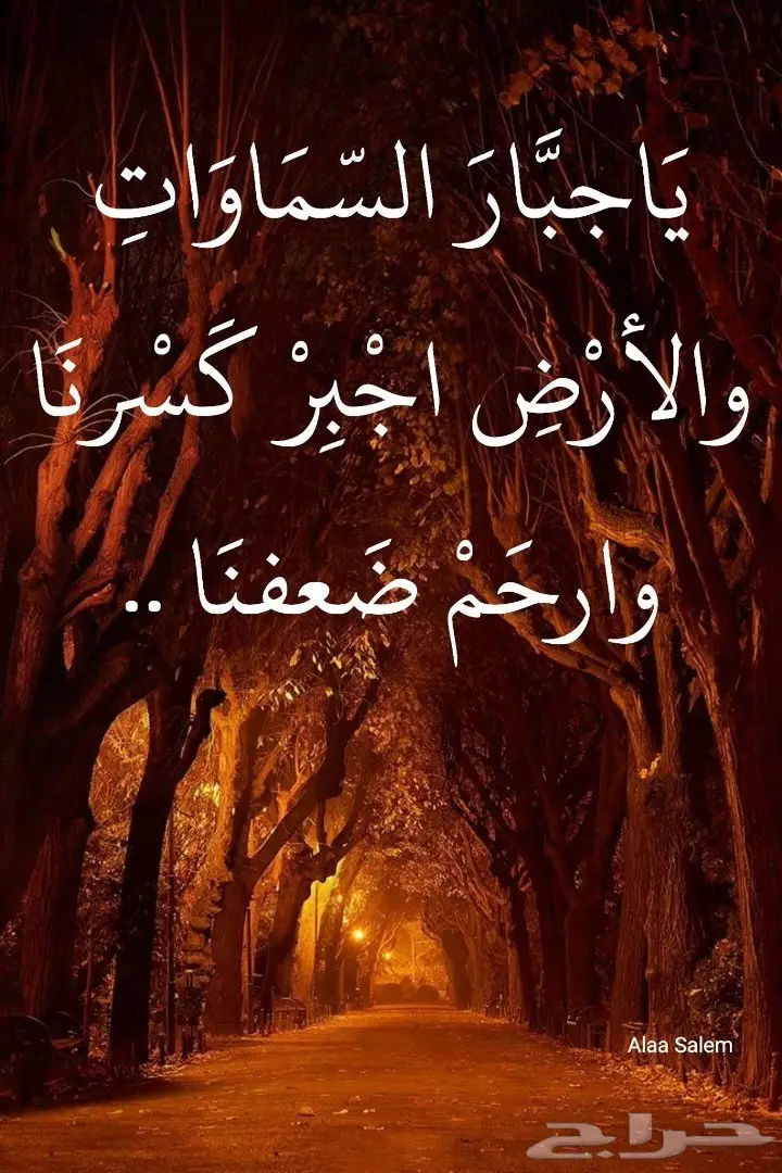 رائد الاستبدال للاجهزة الكهربائية  (image 25)