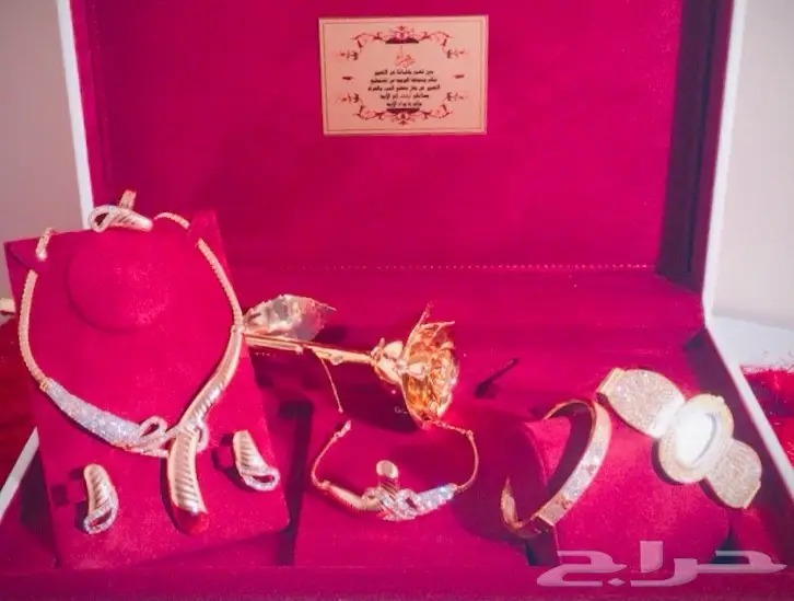 هدية فاخرة 2018 - شاهد الصور (image 11)