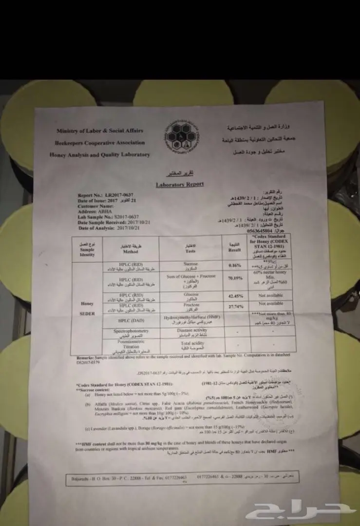 عسل سدر اصلي وخلية نحل سدر  (image 5)