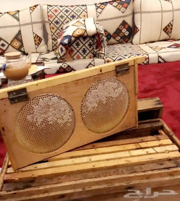 عسل سدر اصلي وخلية نحل سدر 