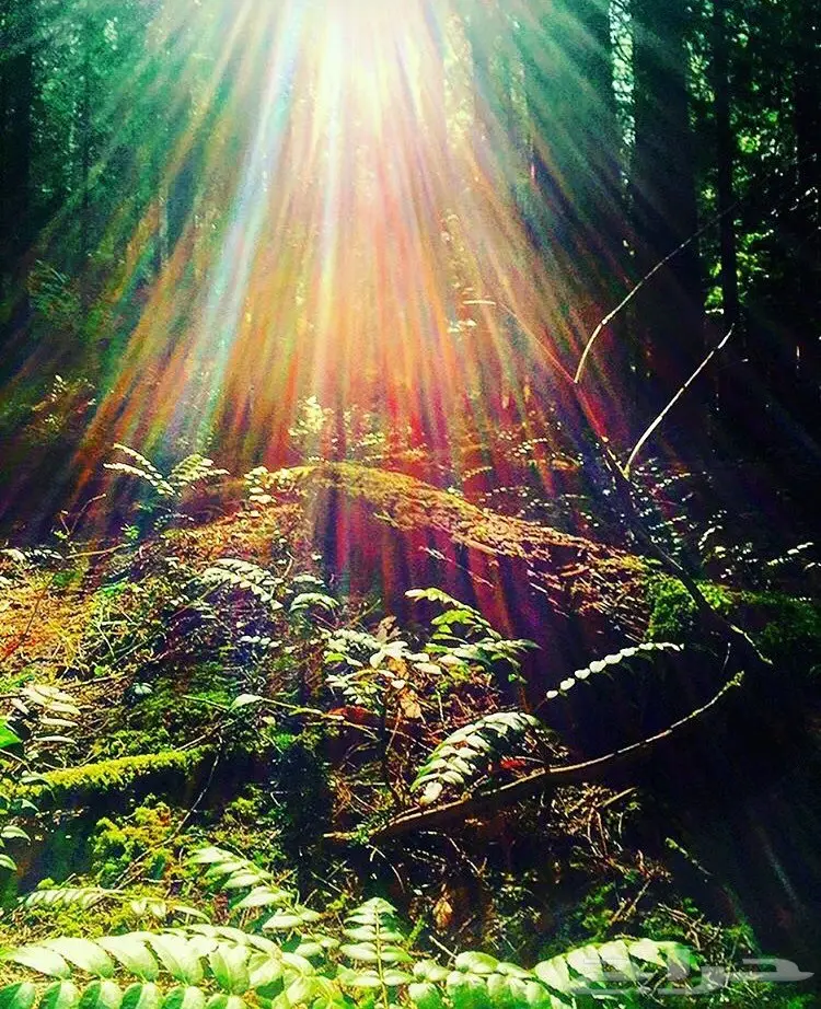 هل تبحث عن فرصه تجاريه 