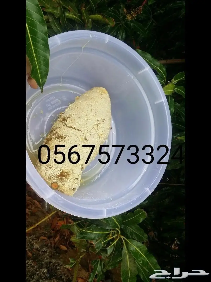 عسل حر جبلي جنوة جديدة اراء العملاء إيجابية 