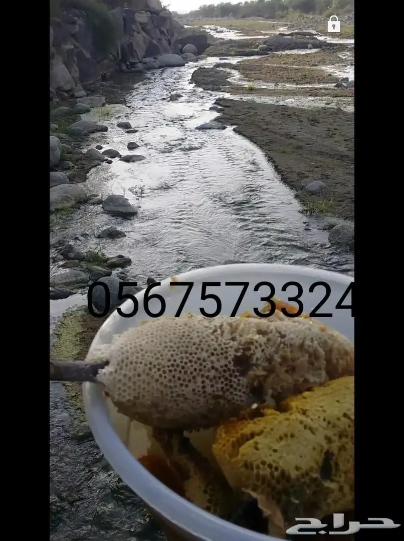 عسل حر جبلي جنوة جديدة اراء العملاء إيجابية  (image 2)