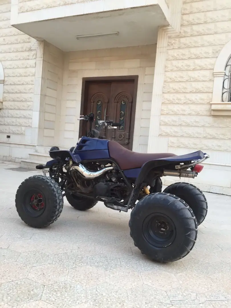 للبيع بانشي خرط 50