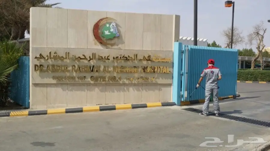 الحل النهائي للقضاء على الحشرات بمنزلك (image 4)