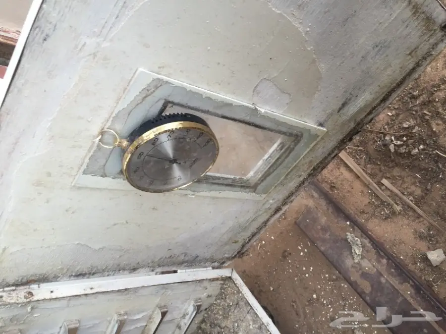 فقاسة وطنية (image 2)