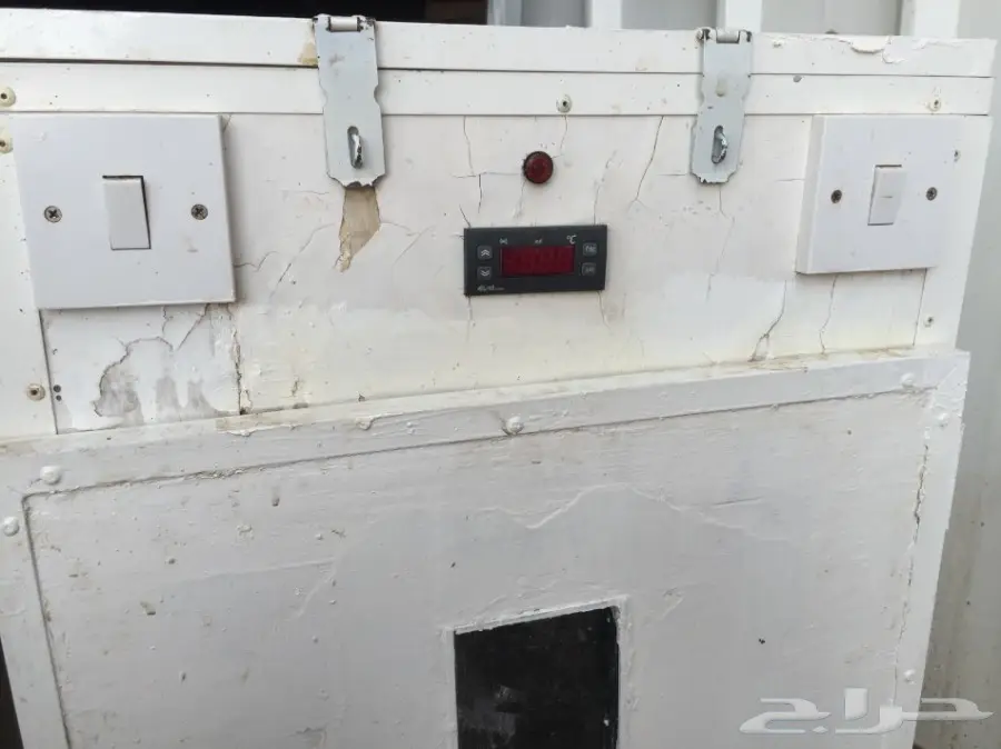 فقاسة وطنية (image 3)